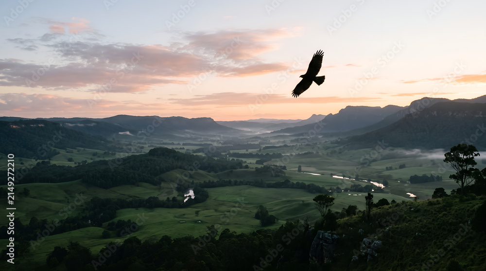 Fototapeta premium Bird of prey soaring over a valley