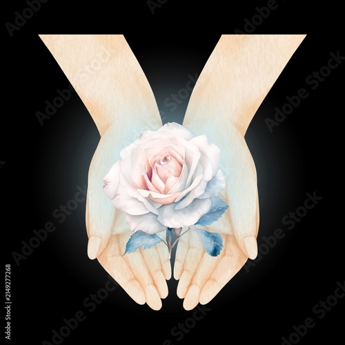 Hands Holding a Beautiful White Rose with Blue Leaves, Symbol of Love and Care