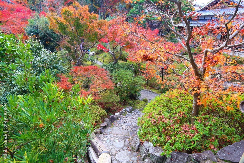 Obraz premium Nara, Japan. Fall colors in Japanese garden. Yoshikien Garden.