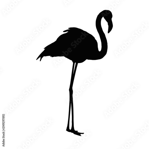 Flamingo Silhouette Standing on One Leg, Tropical Bird Wildlife Illustration