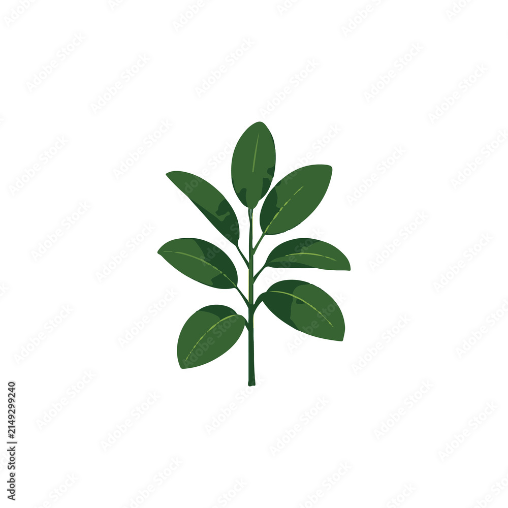 Fototapeta premium Rubber Plant Flat Vector Illustration