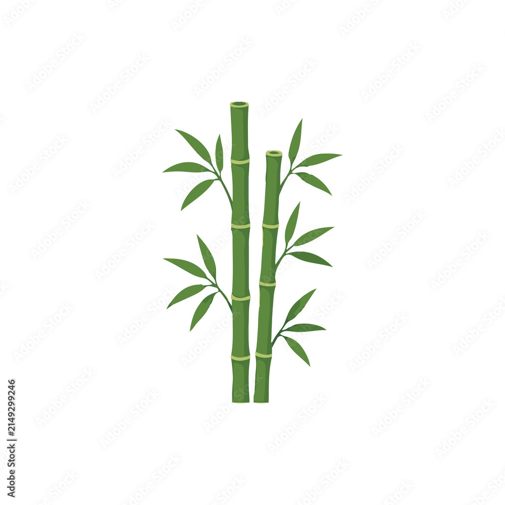Fototapeta premium Bamboo Stalk Flat Vector Illustration