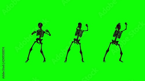 Trio of 3D skeletons dancing with raised arms on a green screen for Halloween party motion graphics and VFX