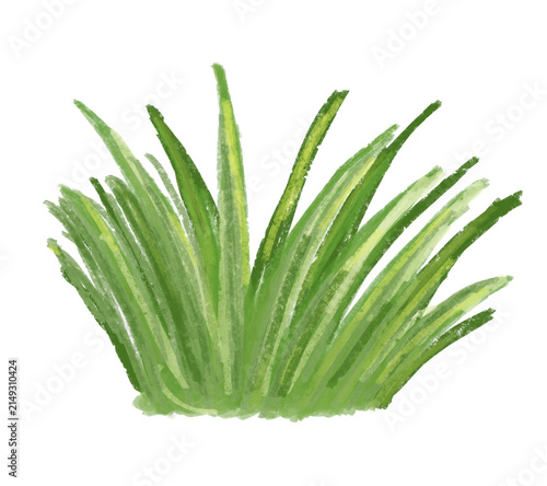 Hand drawn green grass tuft with expressive textured brush strokes, isolated on transparent background. A natural decorative element for landscapes, gardens, outdoor scenes and creative designs.