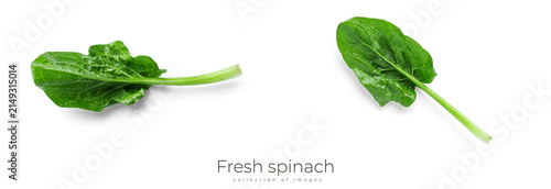 Fresh spinach on a white background