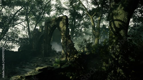 Gothic arch ruins swallowed by dense forest and vines, mottled light through canopy, crumbling stonework draped in moss, scattered leaf litter and narrow