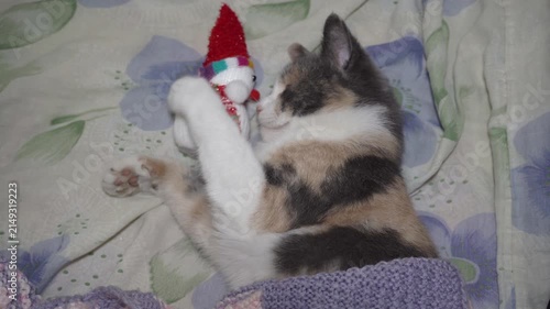 Cat hugging toy snowman while lying in bed, cat sleeping with soft toy snowman
