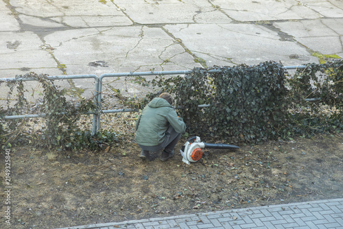 Foto A worker kneels near a metal fence in an outdoor urban park to maintain green iv