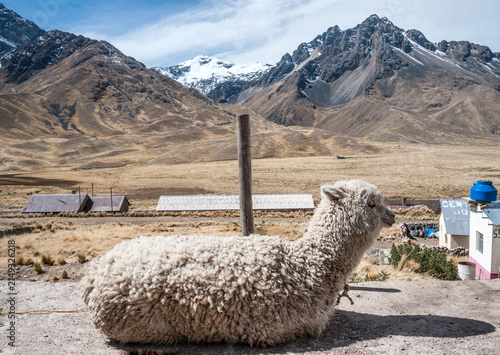 Foto Abra La Cuesta, Região de Puno  Arequipa, Peru