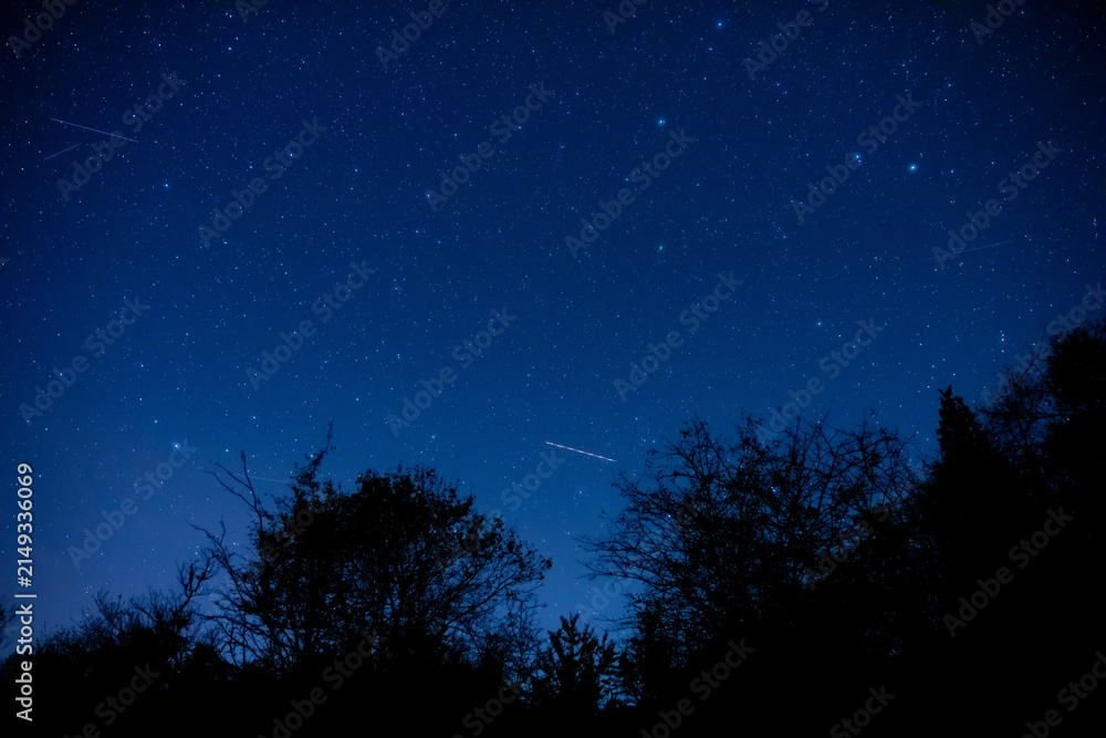 Fototapeta premium Milky Way stars and rural countryside tree silhouettes