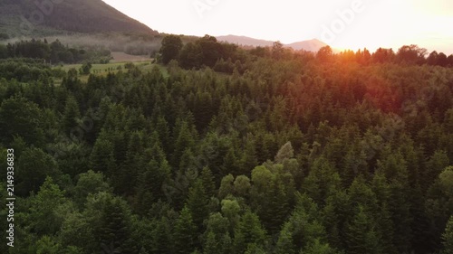 Aerial forest landscape view during amazing warm sunset or sunrise. Majestic deciduous green and spruce trees in sunlight at summertime. Park reservation. Nature scenery concept