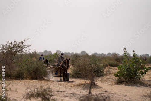 Desert scrubland under hazy sky. Two people ride horse-drawn cart through arid terrain. Dusty path winds between sparse bushes. Horse trots steadily, pulling heavy load. Scene evokes quiet travel