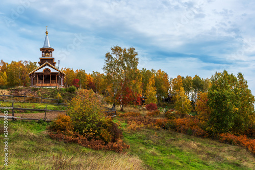 Autumn leaves glow gold against cloudy sky