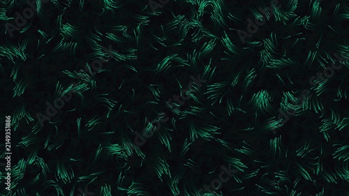 kinetic vicsek flocking transition 2d