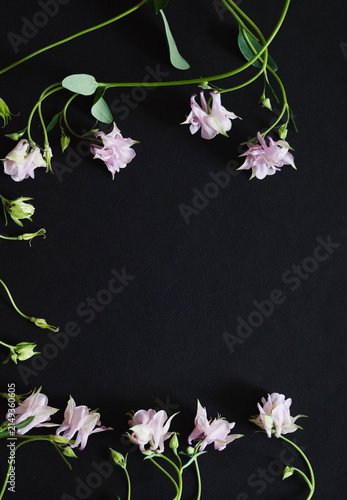 The picture shows white flowers that symbolize the theme of funerals and condolences.