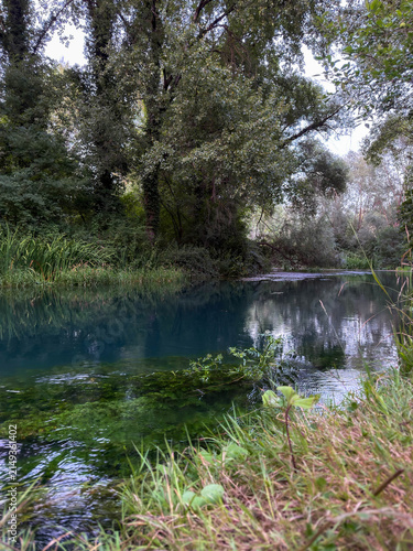 Fotografie Fiume calmo che scorre attraverso una fitta foresta verde e rigogliosa