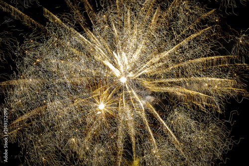 Golden fireworks explosion with intricate sparkling light trails filling the night sky.
