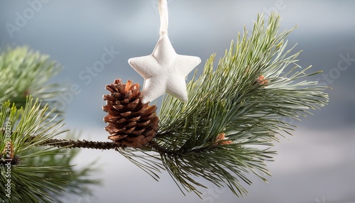 Pine Cone And Star On White Pine Bough