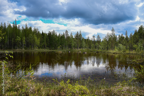Small forest lake surrounded by pine and birch trees under dramatic clouds in the northern Swedish wilderness.