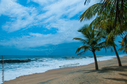 Coconut groove in the sandy beach of Mararikulam, Kerala