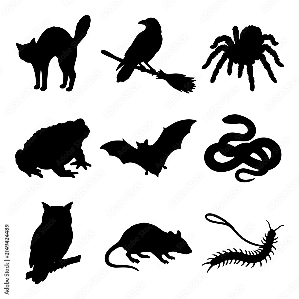 Obraz premium Collection of black animal silhouettes including bat owl cat snake and spider for Halloween patterns.