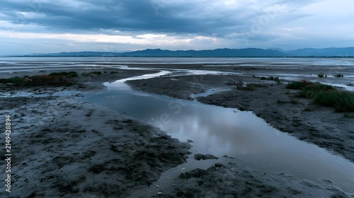 Winding water channel flows through exposed muddy flats under a cloudy sky with distant mountains on horizon