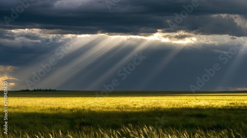 sun,clouds,field,meadow,pasture,horizon,sky,rural,landscape,nature,agricultur...