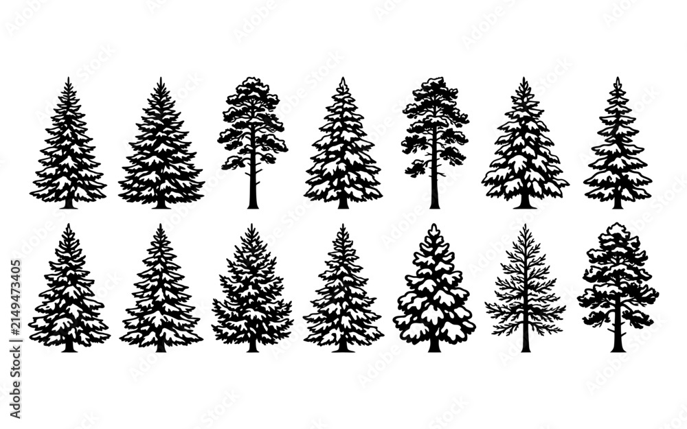 Fototapeta premium Set of black silhouette pine trees and evergreen conifers isolated on a white background for design projects