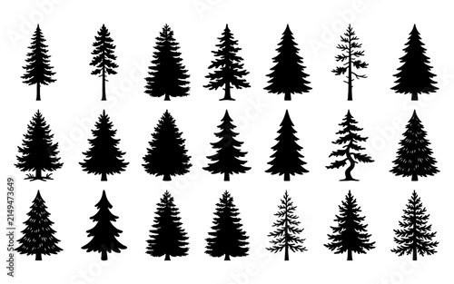 Collection of various black pine tree silhouettes isolated on a white background for graphic design projects