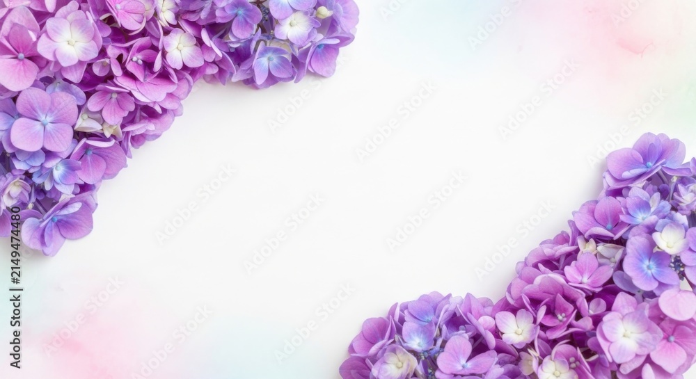 Fototapeta premium Delicate purple hydrangeas frame soft pastel watercolor background