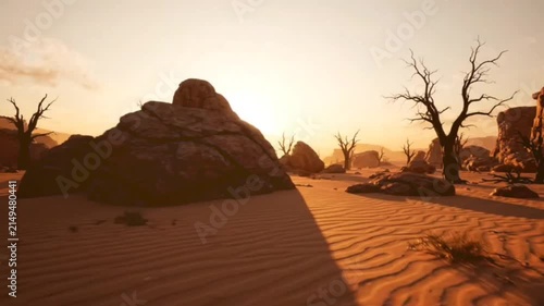 Desert sunset cinematic footage featuring golden sunlight over arid sand dunes with silhouettes of bare trees and large rock formations in hot landscape.