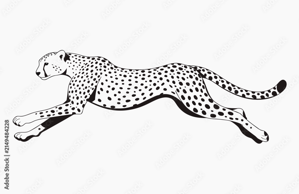 Naklejka premium Cheetah Leopard Vinyl Ready Vector Illustration with Spotted Wild Cat Design on Black and White Backgrounds Safari Wildlife Predator Animal Artwork