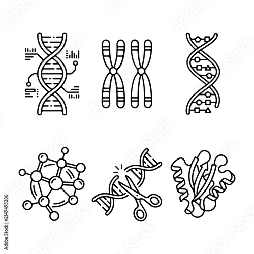 Linear Biochemistry Icon Set, Dna Helix And Chromosome Symbols, Genetics Line Vector Illustrations For Medical And Science Projects