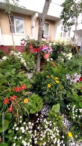 Lush garden filled with colorful flowers and greenery near building  