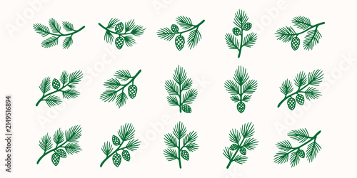 Quadro su tela Set of hand drawn pine branches and cones for seasonal botanical designs with ev