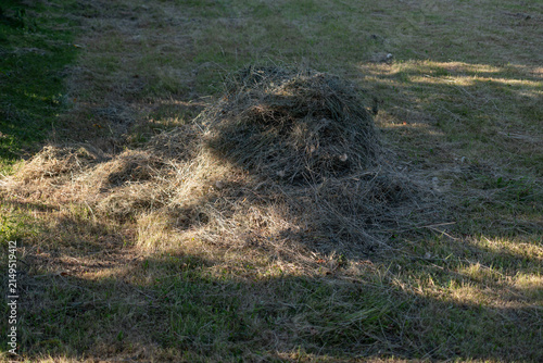 Photography Small haystack in a garden.