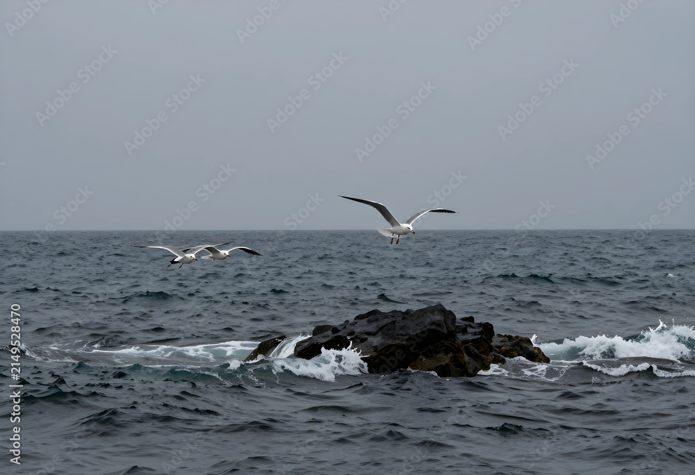 Naklejka premium Three seagulls flying low over dark ocean waves and a rocky outcrop under a gray sky, coastal nature scene