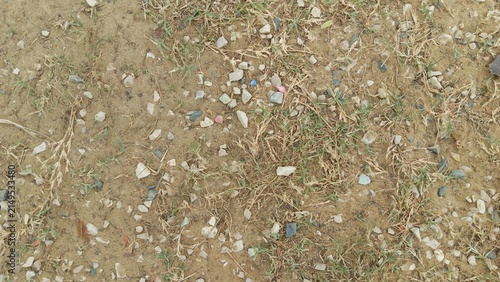 Top down view looking at dry dusty earth scattered with small tiny colorful pebbles and sparse patches of wild green grass