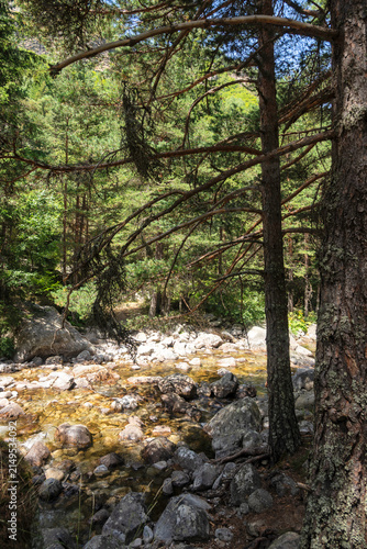 Rila Mountain near Beli Iskar River, Bulgaria