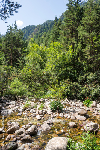 Rila Mountain near Beli Iskar River, Bulgaria