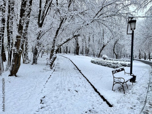 Foto Banco solitario cubierto de nieve junto a una farola clásica en un parque urbano