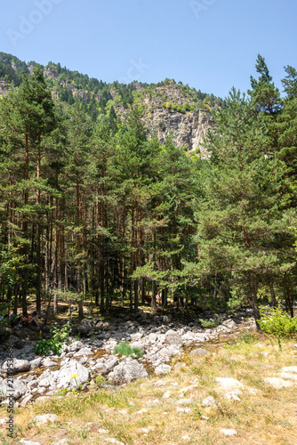 Rila Mountain near Beli Iskar River, Bulgaria