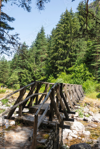 Rila Mountain near Beli Iskar River, Bulgaria