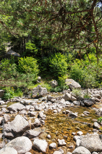 Rila Mountain near Beli Iskar River, Bulgaria