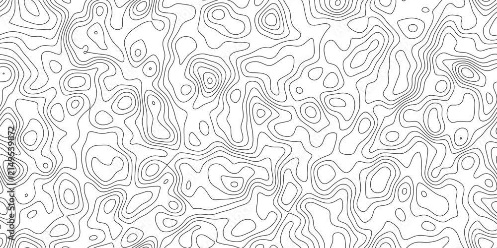 Fototapeta premium Detailed topographic relief line background, abstract hand drawn terrain lines with ridge and valley detail, for backdrop, packaging and web design.
