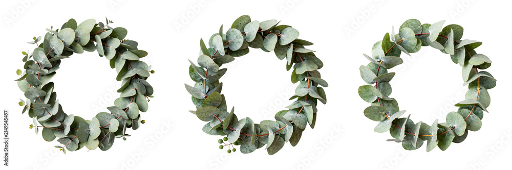 Fototapeta premium Three eucalyptus wreaths create a natural botanical design element against black