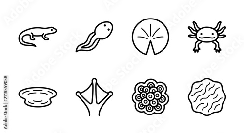 Amphibian Life Cycle Icons: Salamander, Tadpole, Axolotl, Frog Spawn, Lily Pad, Water