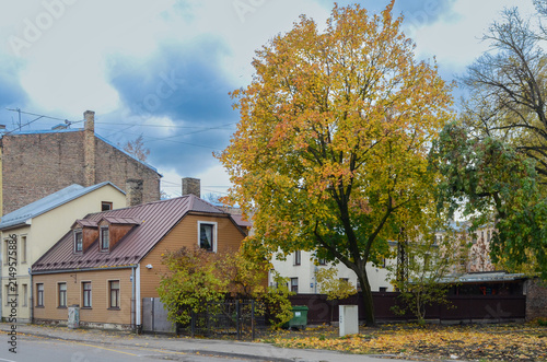 Fotografie Autumn Landscape in Riga with Central Tree Displaying Yellow Orange Foliage