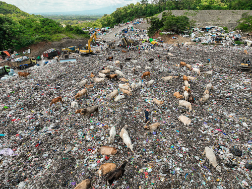 Aerial view of the Piyungan waste management site with numerous cows scavenging among piles of trash, heavy machinery, and trucks in Piyungan, Special Region of Yogyakarta, Indonesia.