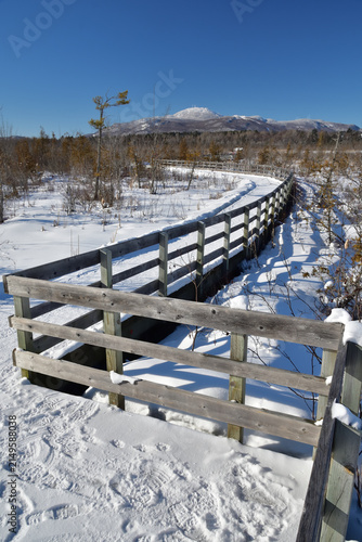 Foto Cherry River wooden boardwalk across marshland in winter.